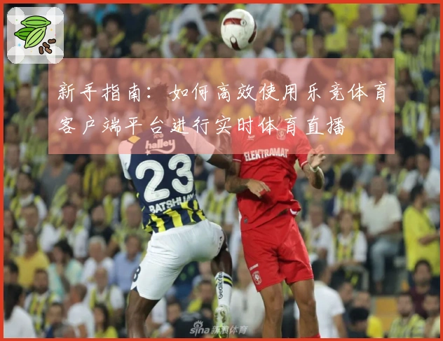 新手指南：如何高效使用乐竞体育客户端平台进行实时体育直播
